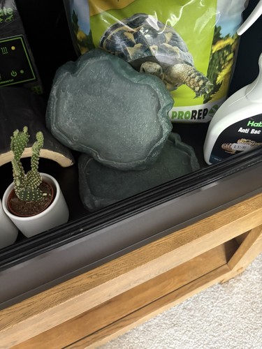 Used vivariums foot - vivariums,