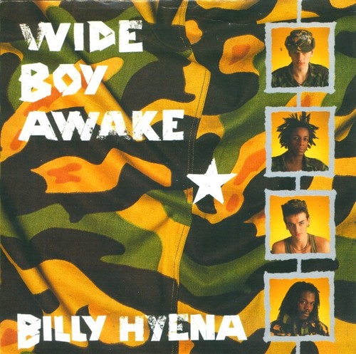 Wide boy awake - billy, hyena