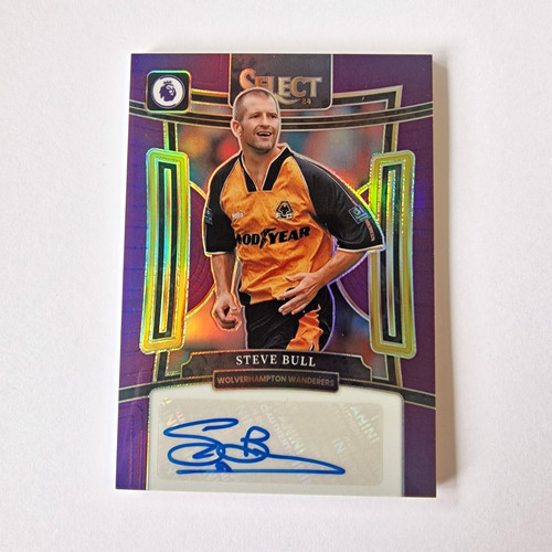 Steve bull purple - bull, /49