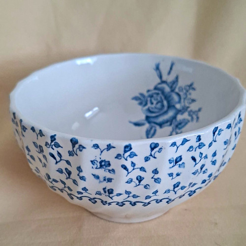 Vintage royal victoria rose - vintage,