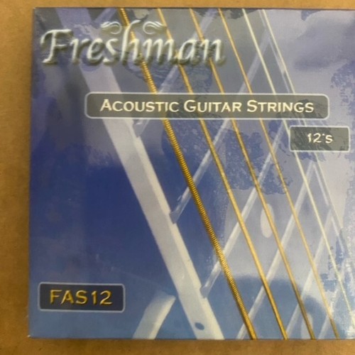 Freshman fas12 acoustic guitar - freshman,