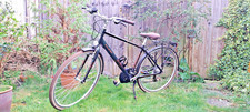Raleigh Pioneer Grand Tour