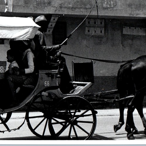 Two horses pulling - horses, carriage