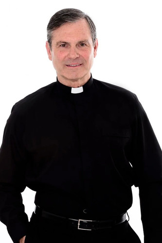 100 cotton clerical - clerical, shirt