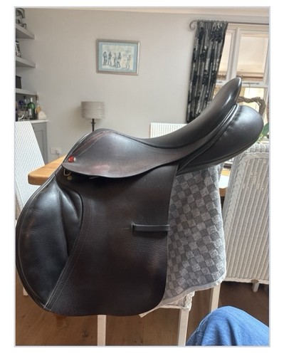 Albion brown mw - albion, 17.5
