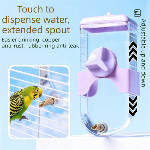 Bird drinker parrot waterer - bird,
