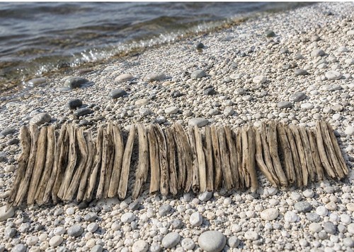 Snake river driftwood pieces - snake,