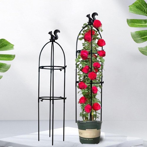 Garden obelisk outdoor trellis - garden,