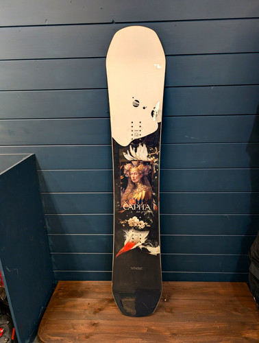 Capita birds feather - birds, of