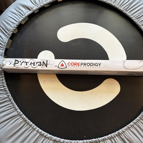 Core prodigy python - prodigy, trainer