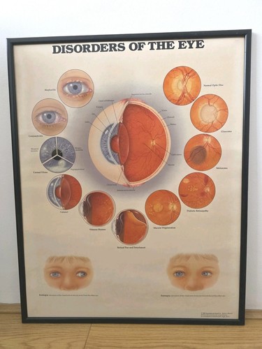 Vintage anatomical disorders - anatomical,