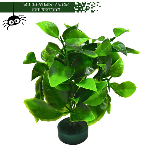 Artificial vivarium plastic - artificial,