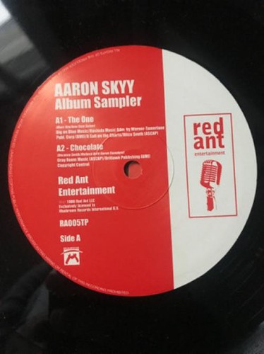 Aaron skyy album sampler - -,