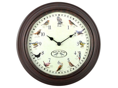 Bird sound clock indoor - sound, (indoor