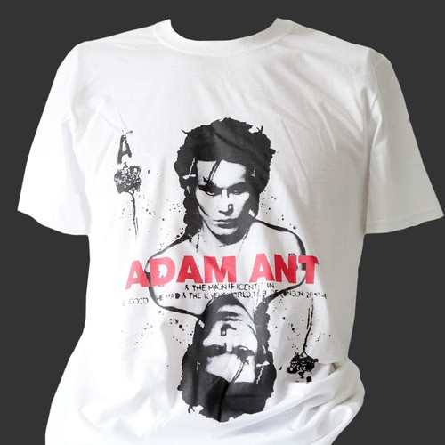 Adam ant new - wave, punk