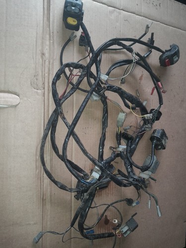 Italjet formula wiring loom - 50,