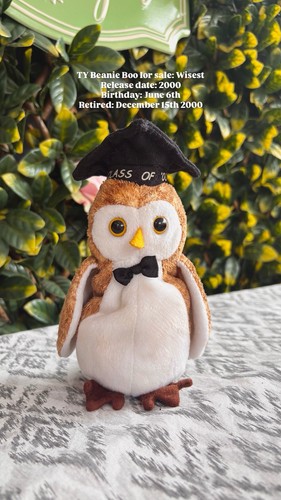 Beanie boo wisest owl - ty,