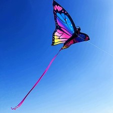 Beautiful Butterfly Kite