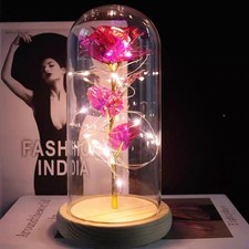 LED Rainbow Flowers Light Up