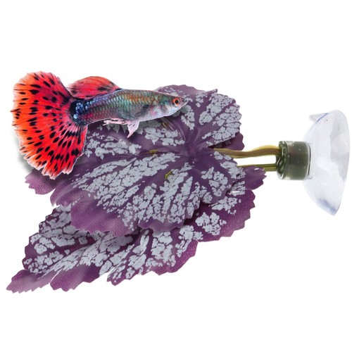 Plastic betta hammocks suction - plastic,