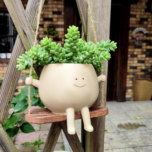 Hanging plant pots - hanging,