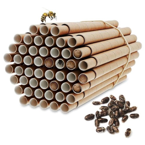 Bee house set for pollinators - house,