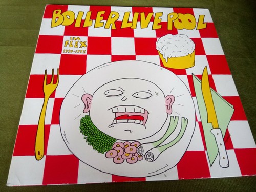 Boiler live pool flex - live, im