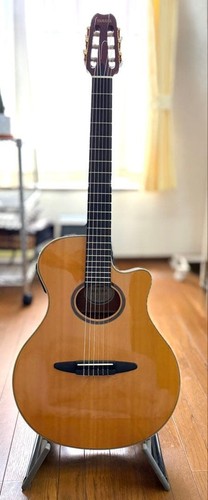 Yamaha apx 5na 2003 hard - yamaha, case