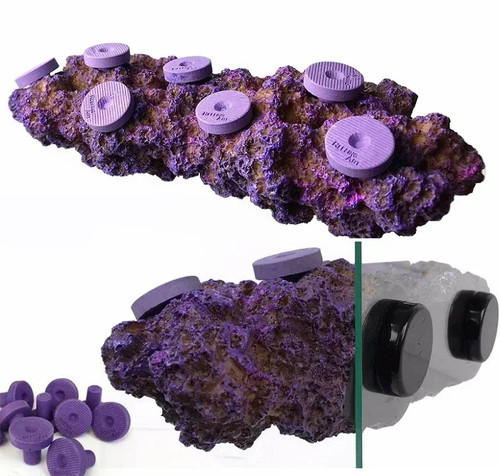 Reefing art aquarium marine - reefing,
