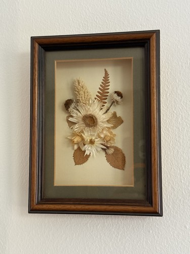 Millflow framed dried - millflow, flower