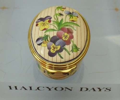 Halcyon days viola tricolor - days, "viola