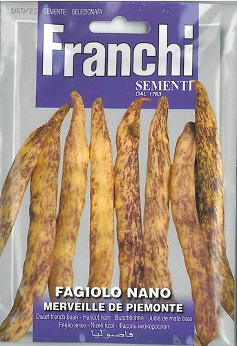 Franchi seeds dwarf bean - seeds,