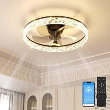 Ceiling Fan with Lights and