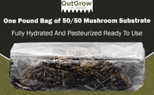 50/50 Straw & Manure Mushroom