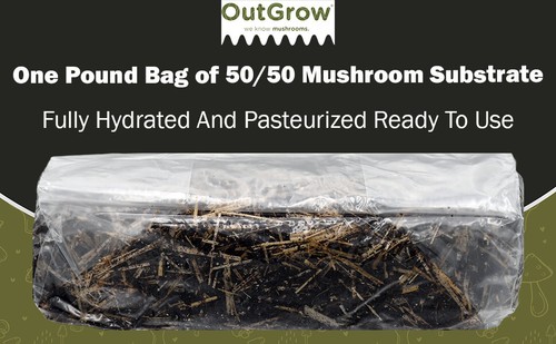 Straw manure mushroom - 50/50, &