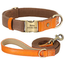 Fashion Customised Nylon Dog