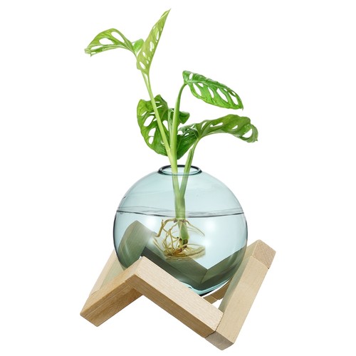 Pack glass planter terrarium - pack,