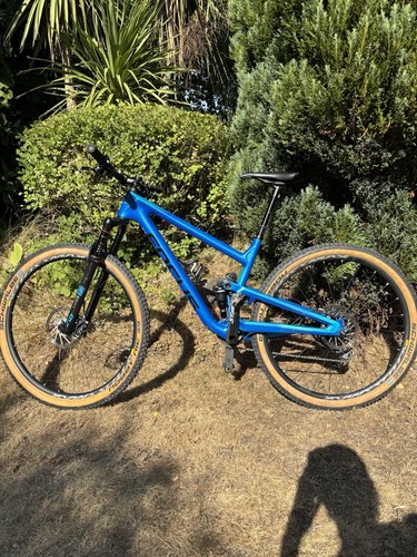 Focus carbon mountain bike - carbon,