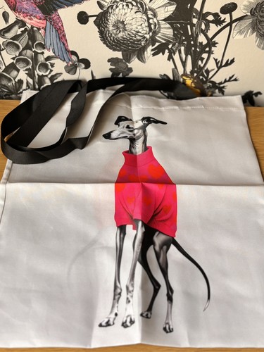Italian greyhound dog - italian,