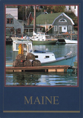 Postcard maine camden lobster - postcard,