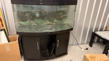 Juwel Rio 450L Fish Tank
