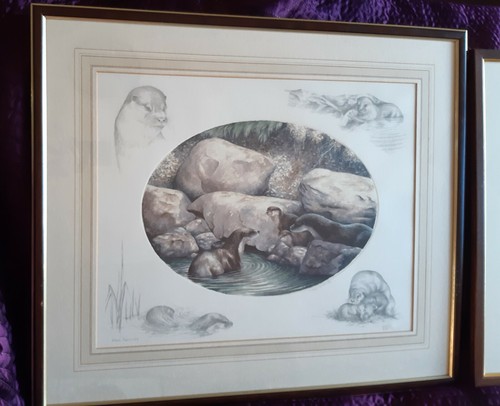 Nigel hemming limited edition - limited,