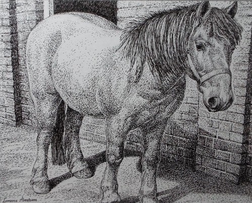 Original scraperboard ink - scraperboard, &