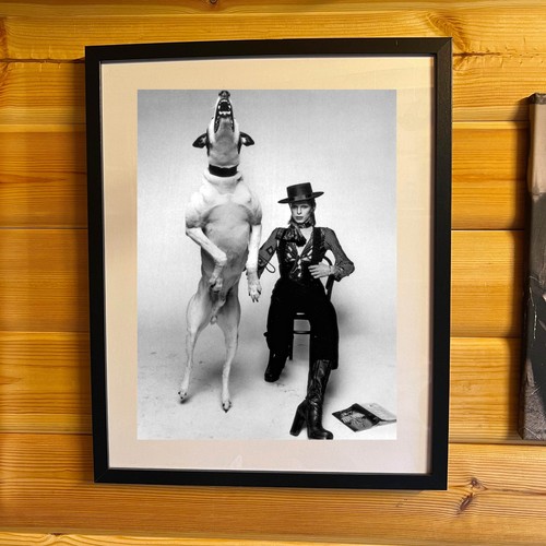 David bowie diamond - bowie, dogs
