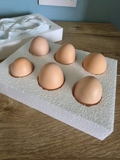 6 Fresh Giant Brahma Eggs for