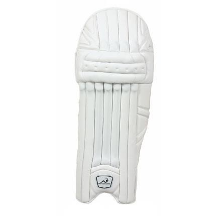 Woodworm cricket ibat select - ibat,