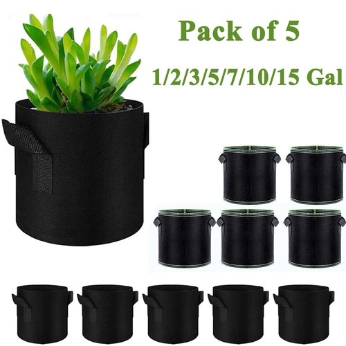 5pcs plants grow - 5pcs,