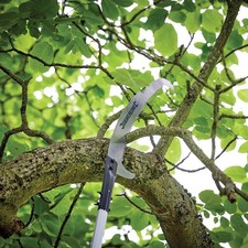 Silverline Extendable Pruning