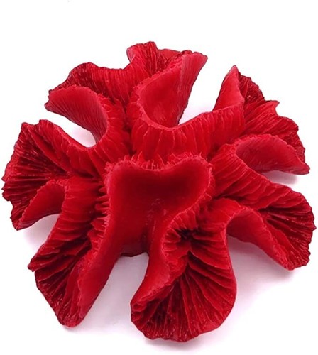 Live coral polyresin red soft - coral,