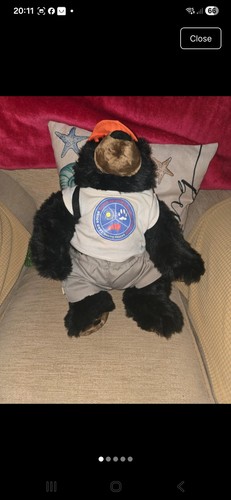 Landrover expedition bear - landrover,